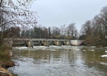 Cottbus hebt Wasserentnahme-Verbot auf. Lage an Spree entspannt sich