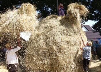 Amt Burg / K. Möbes 