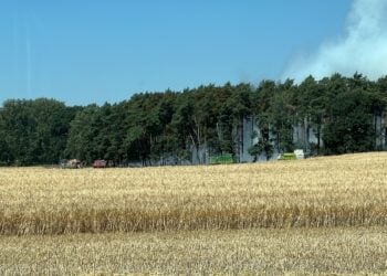 Waldbrand in Drebkau
