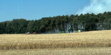 Waldbrand in Drebkau