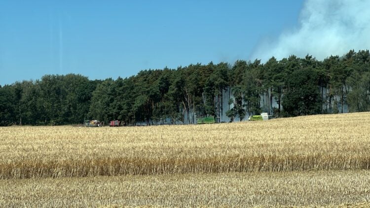 Waldbrand in Drebkau