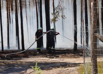 Feuerwehren kämpfen erfolgreich gegen Waldbrand bei Jerischke an
