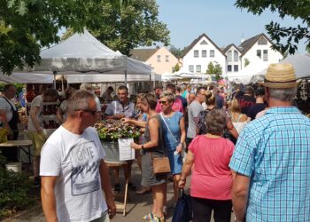 Bunter Töpfermarkt in Burg: 40 Töpfereien & Kunsthandwerk