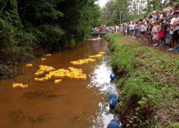 Nach sechs Jahren: Entenrennen kehrt nach Lauchhammer zurück!