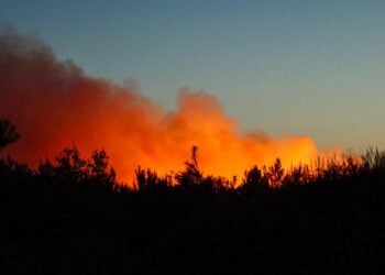 Waldbrand Gohrischheide: Rauch zieht bis nach Südbrandenburg