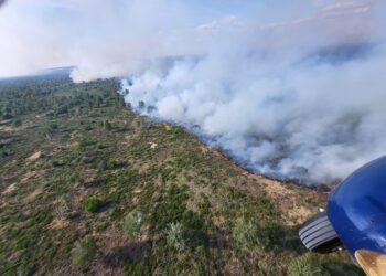 Waldbrand Gohrischheide: Löschhubschrauber am Freitag im Einsatz