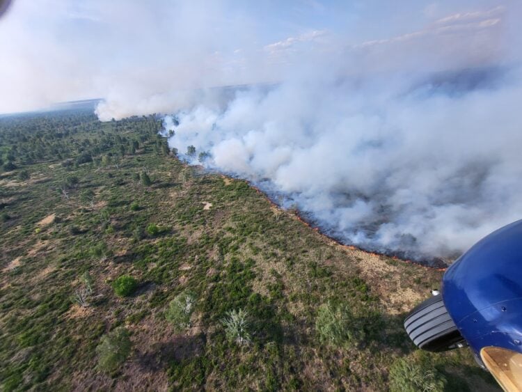 Luftaufnahme des Brandes in der Gohrischheide aus dem Polizeihubschrauber der Bundespolizei.