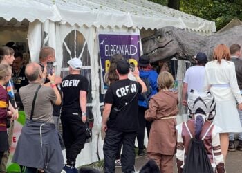 Jetzt bewerben: Elbenwald Festival Cottbus sucht Helferinnen & Helfer!