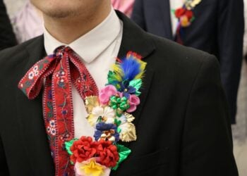 BTU Cottbus führt Lehramtsstudiengang Sorbisch/Wendisch ab 2026 ein