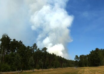 Evakuierung aufgehoben: Großeinsatz bei Waldbrand nahe Sonnewalde