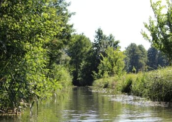 Landkreis verhängt ganztägiges Wasserentnahmeverbot für Spree & Dahme