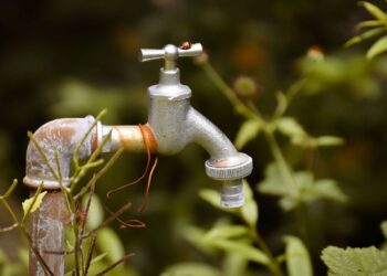 Wasserversorgung am Friedhof Cottbus-Ströbitz am Freitag eingeschränkt