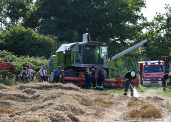 Feldbrand bei Drebkau: Feuerwehr verhindert Ausbreitung