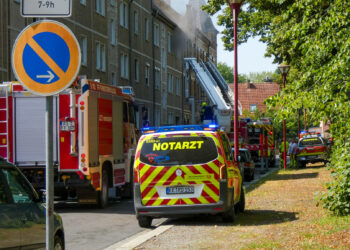 Tragischer Brand in Finsterwalde. Hund kommt ums Leben