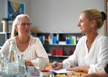 Jobtipp: Heilmann + Partner in Cottbus suchen Steuerfachangestellte(n)