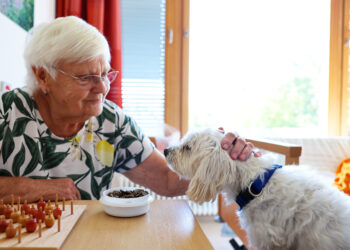 Therapiehündin Mercedes bereichert Klinikalltag in Lauchhammer