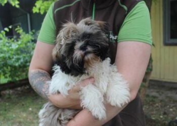 Tierschutzligadorf Neuhausen/Spree