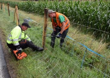 Landkreis Spree-Neiße 