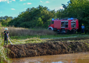 Schilfbrand in Ruhland schnell gelöscht. Ermittlungen zur Brandursache