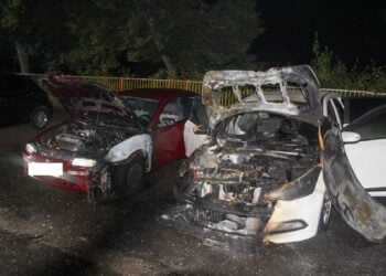 Blaulichtreport Lausitz 