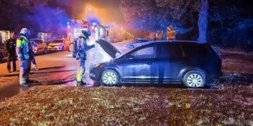 Bild:  Rene Lehmann  / Blaulichtreport Lausitz