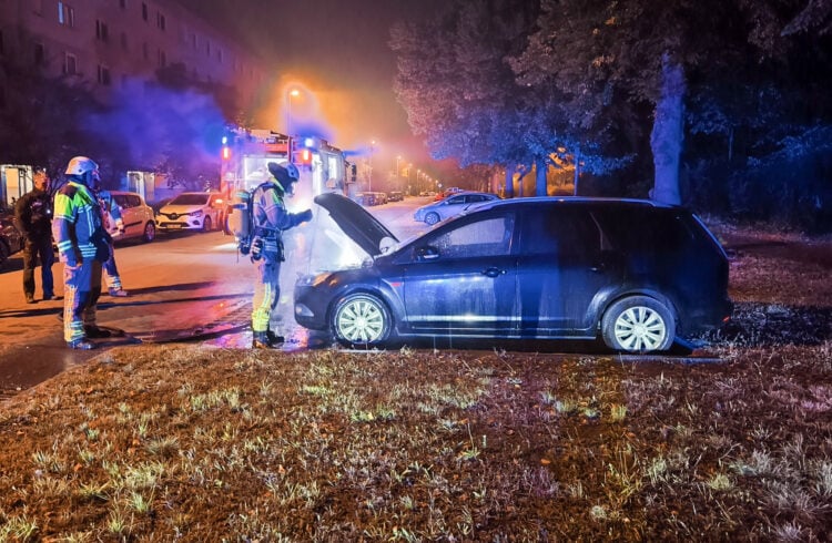 Bild:  Rene Lehmann  / Blaulichtreport Lausitz