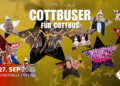 CMT Cottbus 