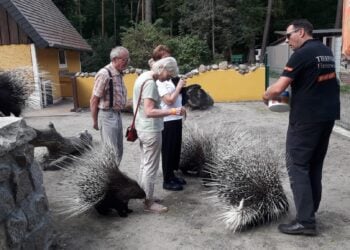 Tierpark Finsterwalde feierte starkes Paten-Wochenende