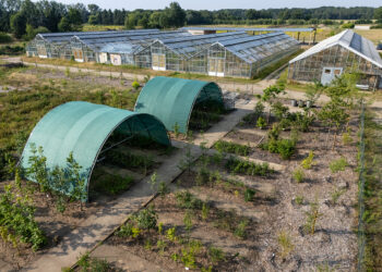 Neue Branitzer Baumuniversität © Leo Seidel