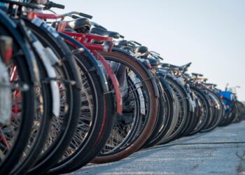 Fundräder kommen in Senftenberg unter den Hammer