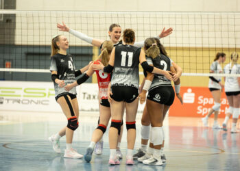 SV Energie Cottbus; Foto: Rohart