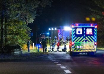 Auto in Cottbus-Saspow gegen Baum geprallt. Feuerwehr im Einsatz