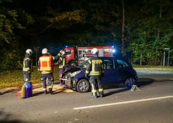 Unfall bei Döbern: Zwei Autos mit Wildschwein kollidiert