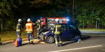 Unfall bei Döbern: Zwei Autos mit Wildschwein kollidiert