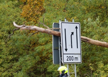 Baum fällt auf Verkehrsschild – Feuerwehr Spremberg im Einsatz