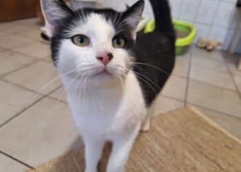 Terra Mater Tierheim 