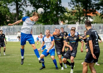 Oberliga Süd: VfB Krieschow vor Spitzen-Auswärtsspiel in Halberstadt