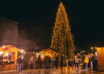 Bewerbungsstart für kostenfreie Hütten auf dem Forster Weihnachtsmarkt