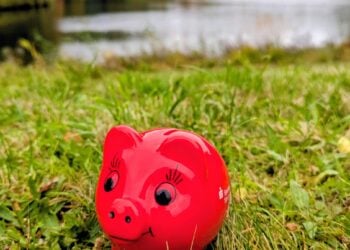 NLaktuell & Sparkasse Spree-Neiße starten Countdown für Weltspartag