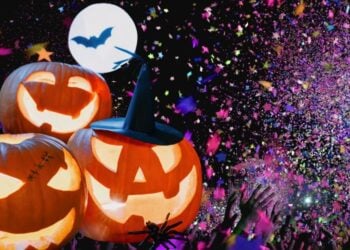 NL-Eventtipps für das Wochenende in der Lausitz