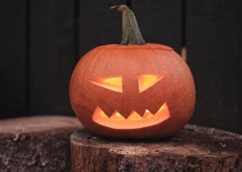 Schaurig-schöner Halloween-Abend im Tierpark Finsterwalde