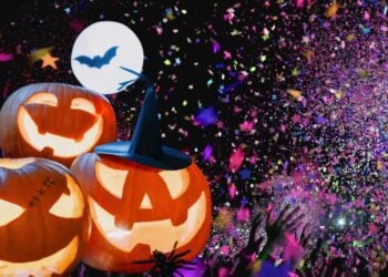 NL-Eventtipps für das Wochenende in der Lausitz