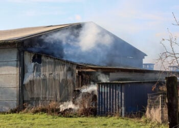Feuer in Gahry: Halle an der Agrargenossenschaft in Flammen