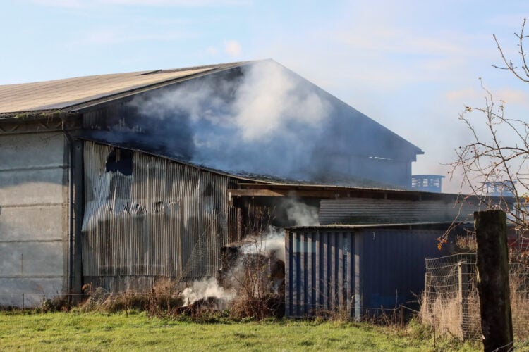 Bild: Christoph Lohse / Blaulichtreport Lausitz