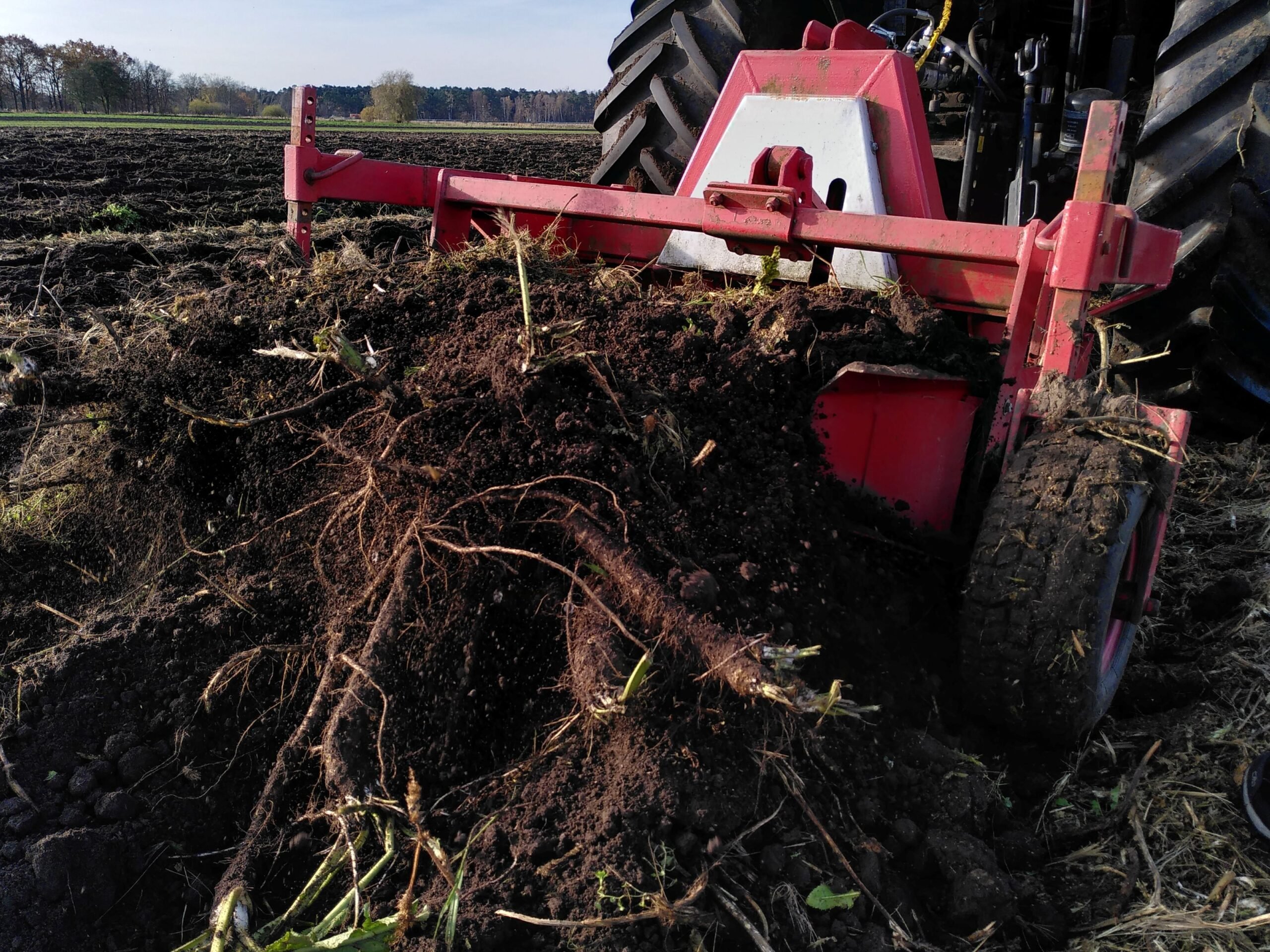 Spreewaldverein e.V. 