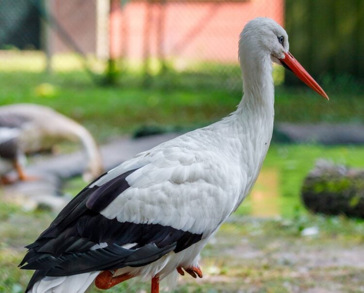 Bild: ©Andreas Franke Fotografie