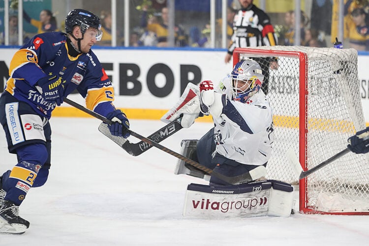 Lausitzer Füchse; Thomas Heide