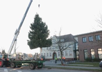 Rathaus-Weihnachtsbaum in Kolkwitz aufgestellt & geschmückt