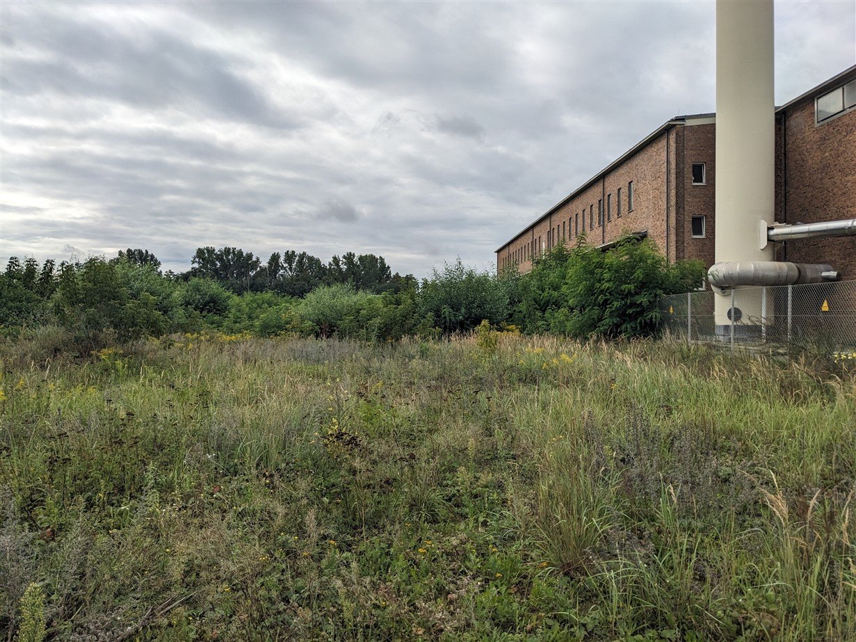 Baufeld für Datacenter Lübbenau; Foto: schwarz digits