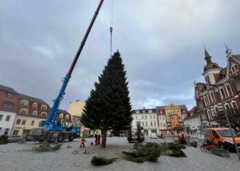 13-Meter-Tanne steht: Weihnachtsbaum schmückt Finsterwalder Markt platz